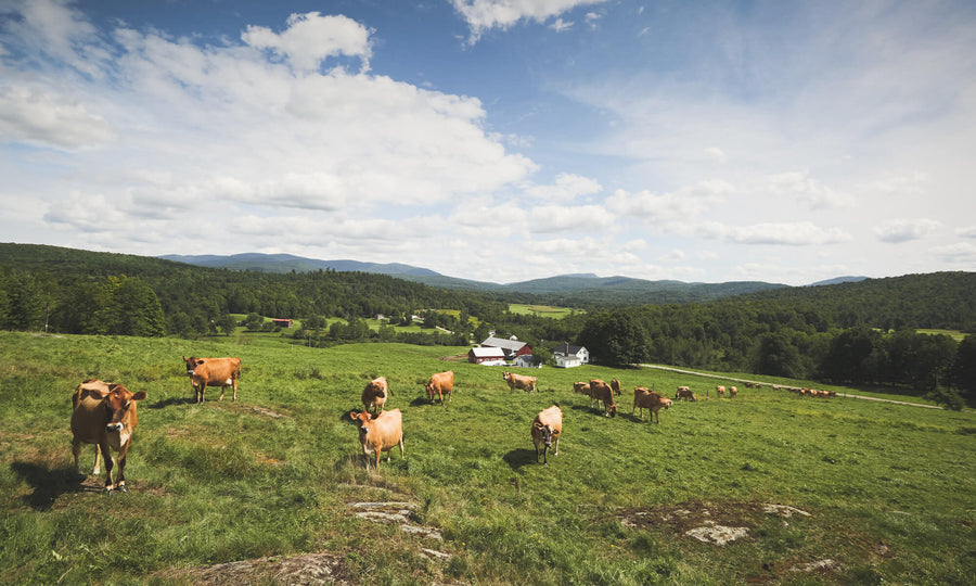 A Love Letter to Vermont