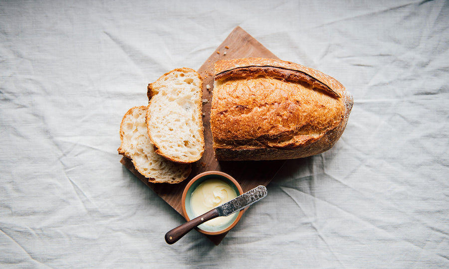 Fermentation Fun Facts