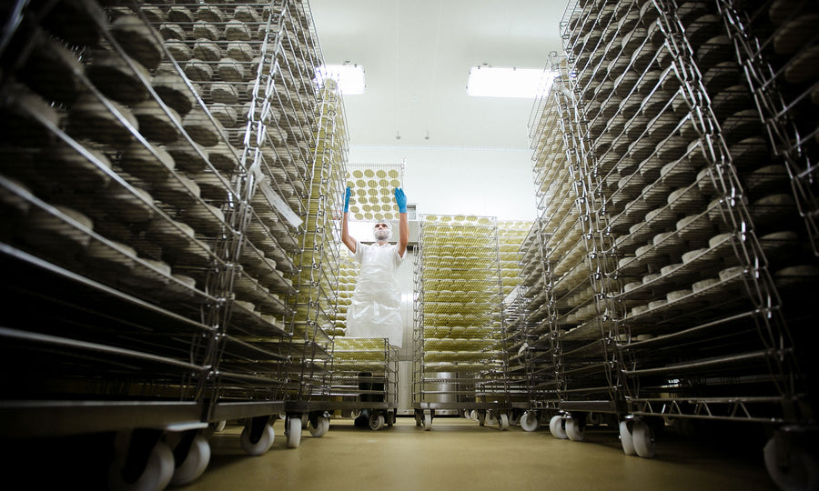 How Goat Cheese is Made