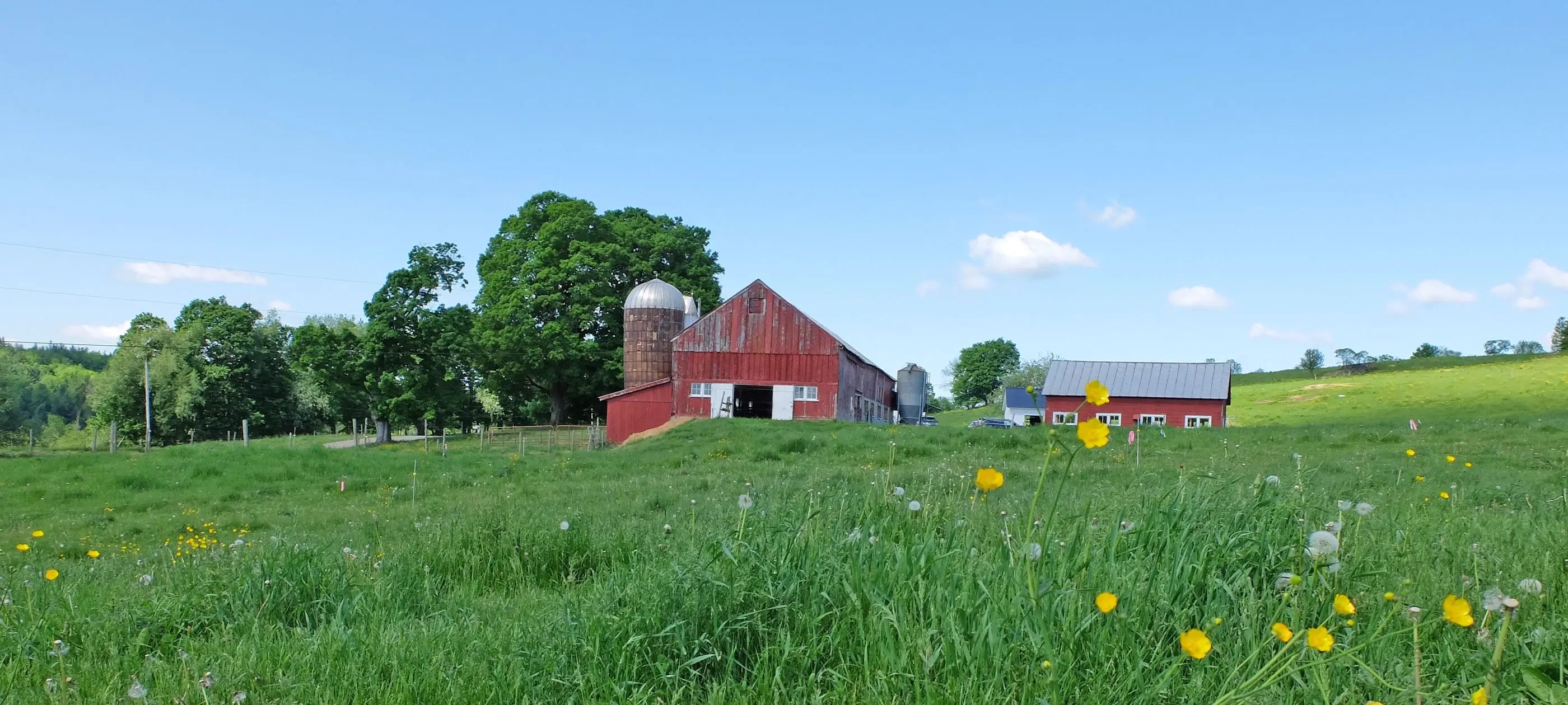 Vermont Creamery Farm and Red Barn