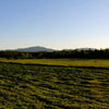 Building The Future of Vermont Dairy Farming - With Goats