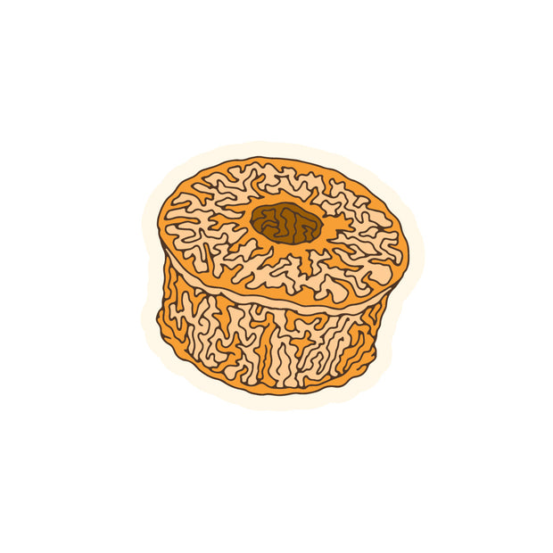 Meet Hooper, Our First Washed-Rind Cheese